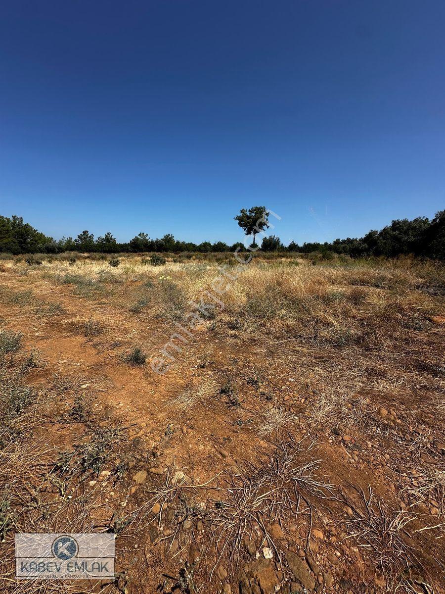Kabev Emlaktan Satılık 3722 Mt Arsa — fotoğraf 5
