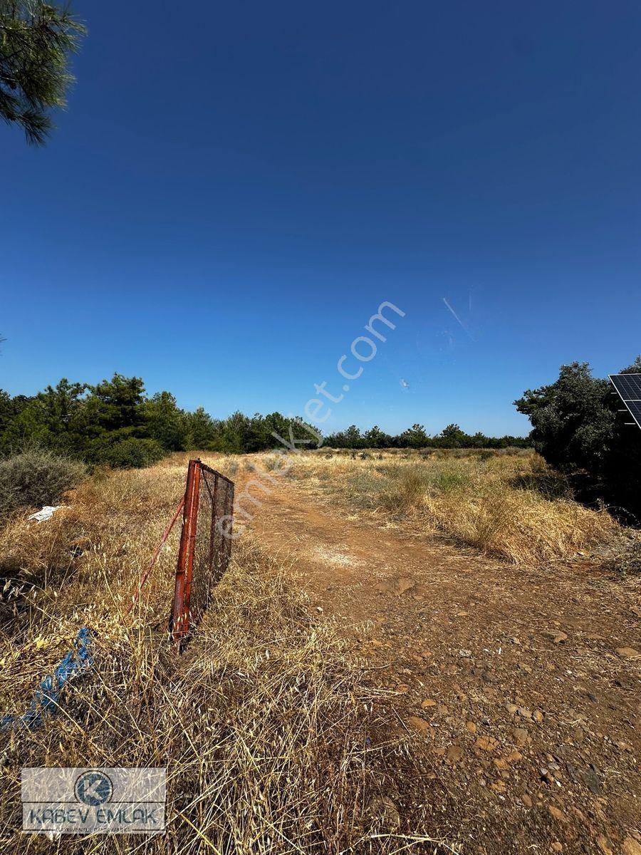 Kabev Emlaktan Satılık 3722 Mt Arsa — fotoğraf 7