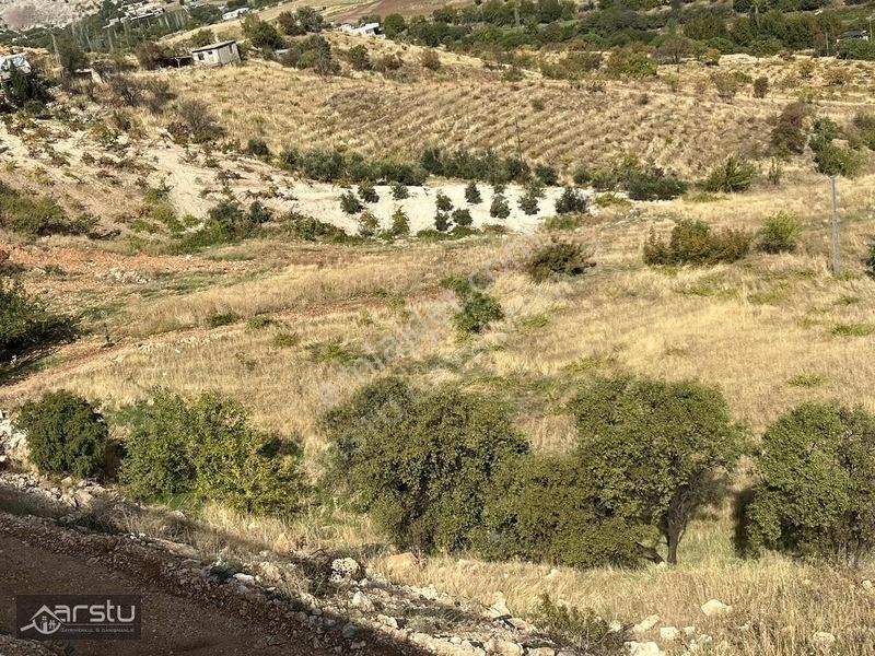 Arstu Gm.haliseden Zey İnderede Satılık Tarla — fotoğraf 9