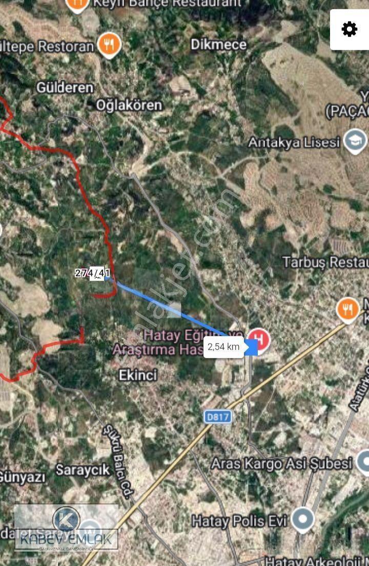 Hatay Antakya’da Satılık Fırsat Bahçe — fotoğraf 2