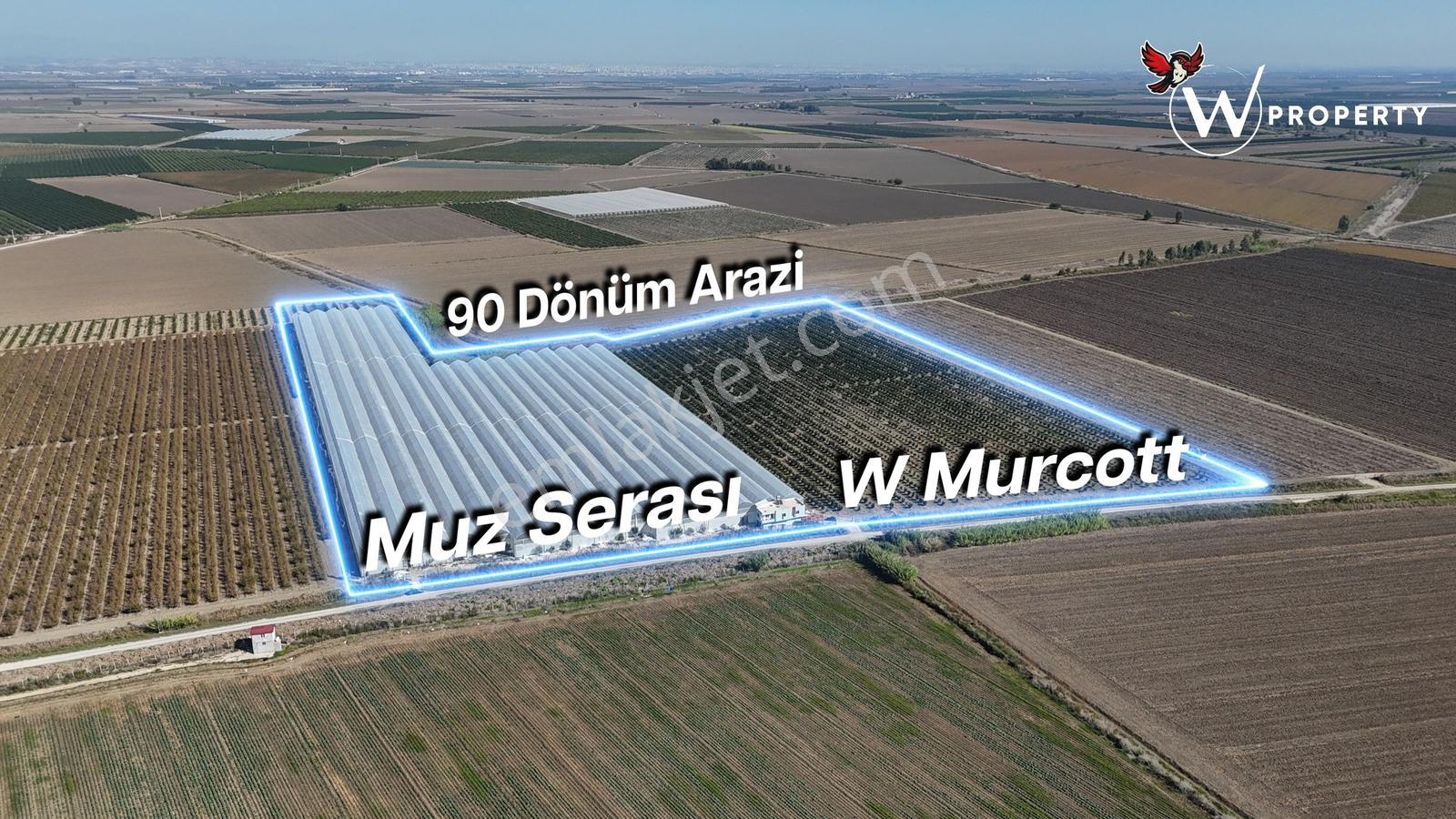 W Property'Den Satılık 90 Dönüm Muz Serası Ve W Murcott Bahçesi