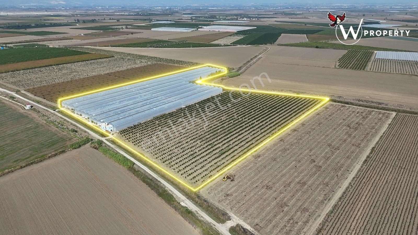 W Property'den Satılık 90 Dönüm Muz Serası Ve W Murcott Bahçesi — fotoğraf 3