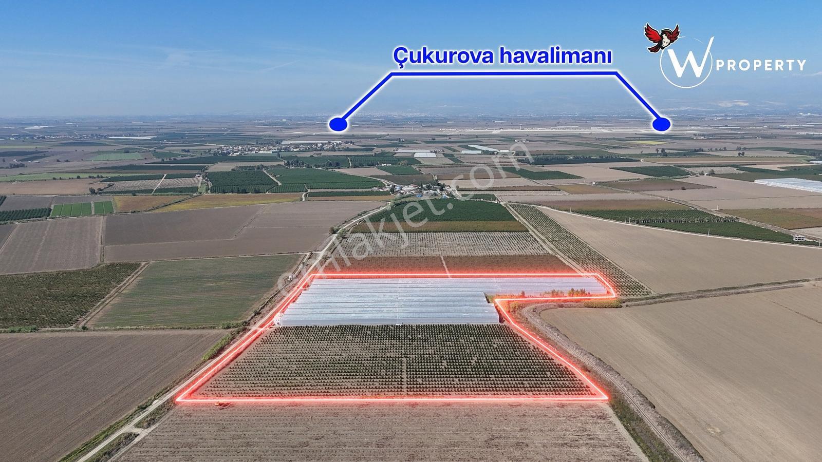 W Property'den Satılık 90 Dönüm Muz Serası Ve W Murcott Bahçesi — fotoğraf 4