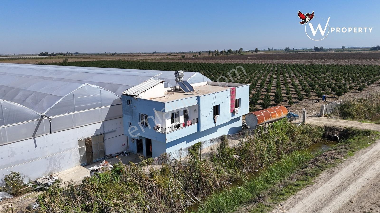 W Property'den Satılık 90 Dönüm Muz Serası Ve W Murcott Bahçesi — fotoğraf 10