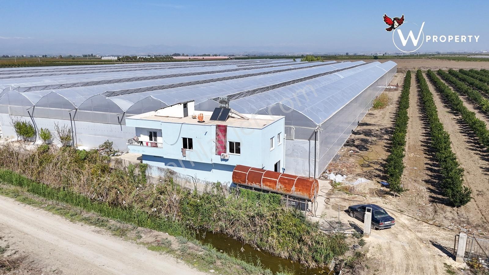 W Property'den Satılık 90 Dönüm Muz Serası Ve W Murcott Bahçesi — fotoğraf 11