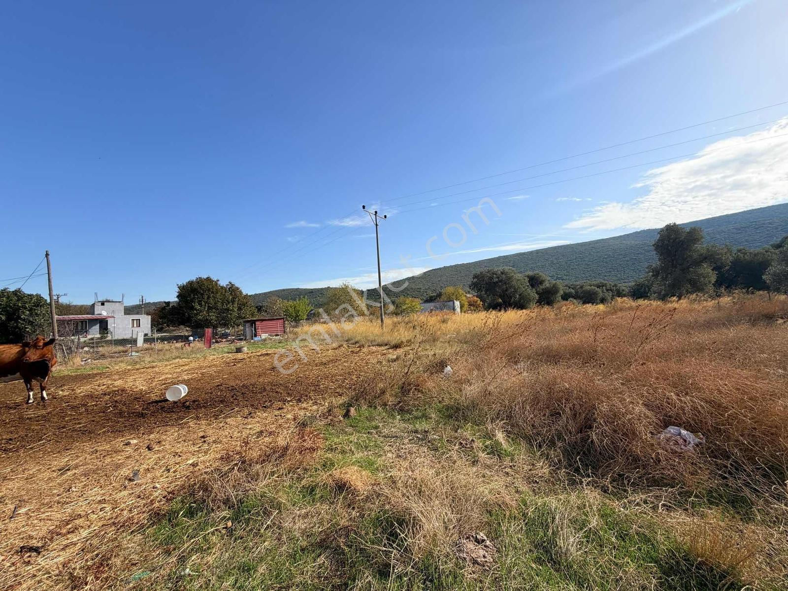 Er Yapı Emlak Urla Zeytinelinde Köy İçi Satılık Arsa