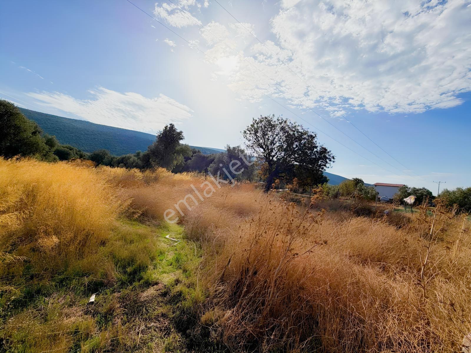 Er Yapı Emlak Urla Zeytinelinde Köy İçi Satılık Arsa — fotoğraf 3