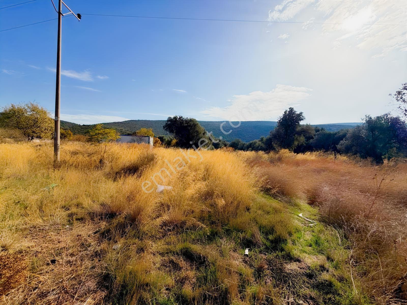 Er Yapı Emlak Urla Zeytinelinde Köy İçi Satılık Arsa — fotoğraf 5
