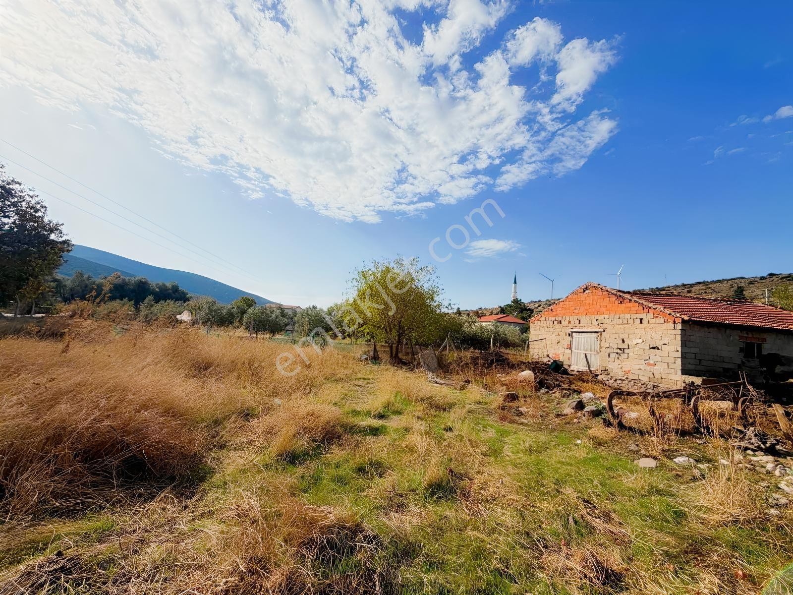 Er Yapı Emlak Urla Zeytinelinde Köy İçi Satılık Arsa — fotoğraf 8