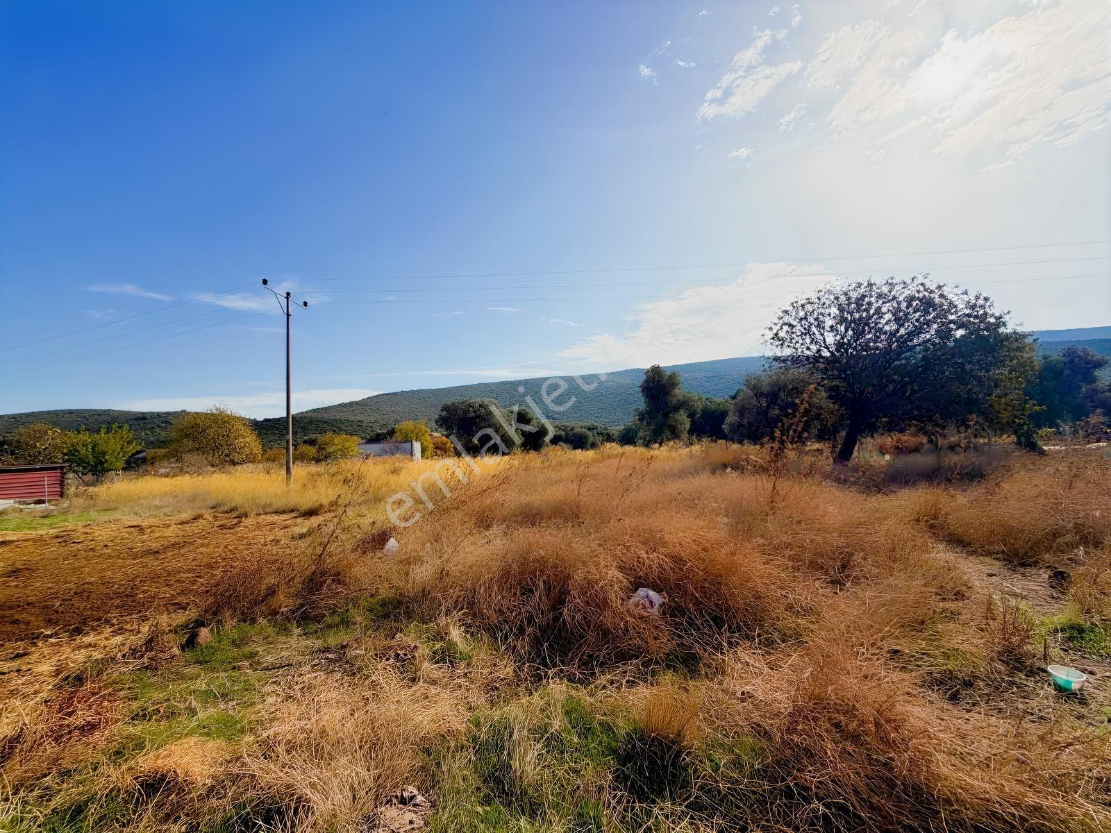 Er Yapı Emlak Urla Zeytinelinde Köy İçi Satılık Arsa — fotoğraf 12