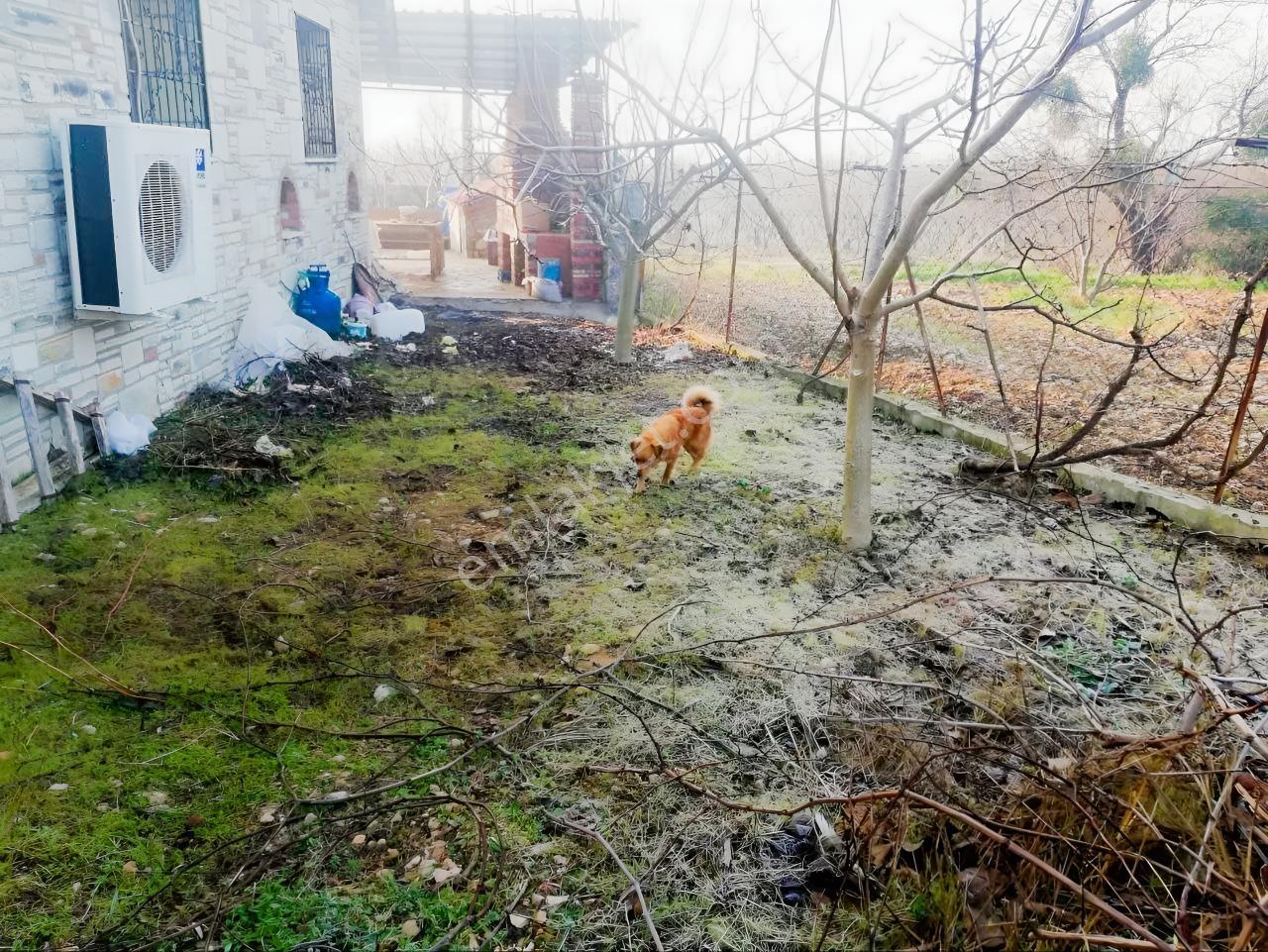 Kemalpaşa Akalanda Satılık / Kiralık Bahçeli 3+1 Müstakil Ev — fotoğraf 8