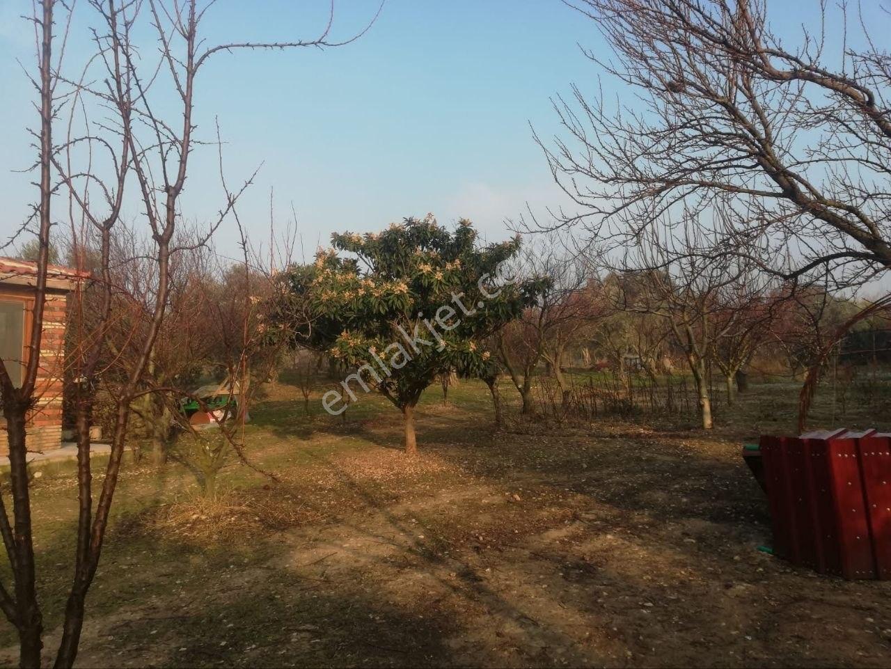 Kemalpaşa Akalanda Satılık / Kiralık Bahçeli 3+1 Müstakil Ev — fotoğraf 10