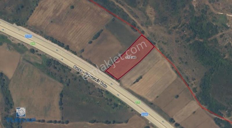 Çanakkale Biga Çınardere 3.700m2 Asfalt Üzeri Satılık Tarla — fotoğraf 5