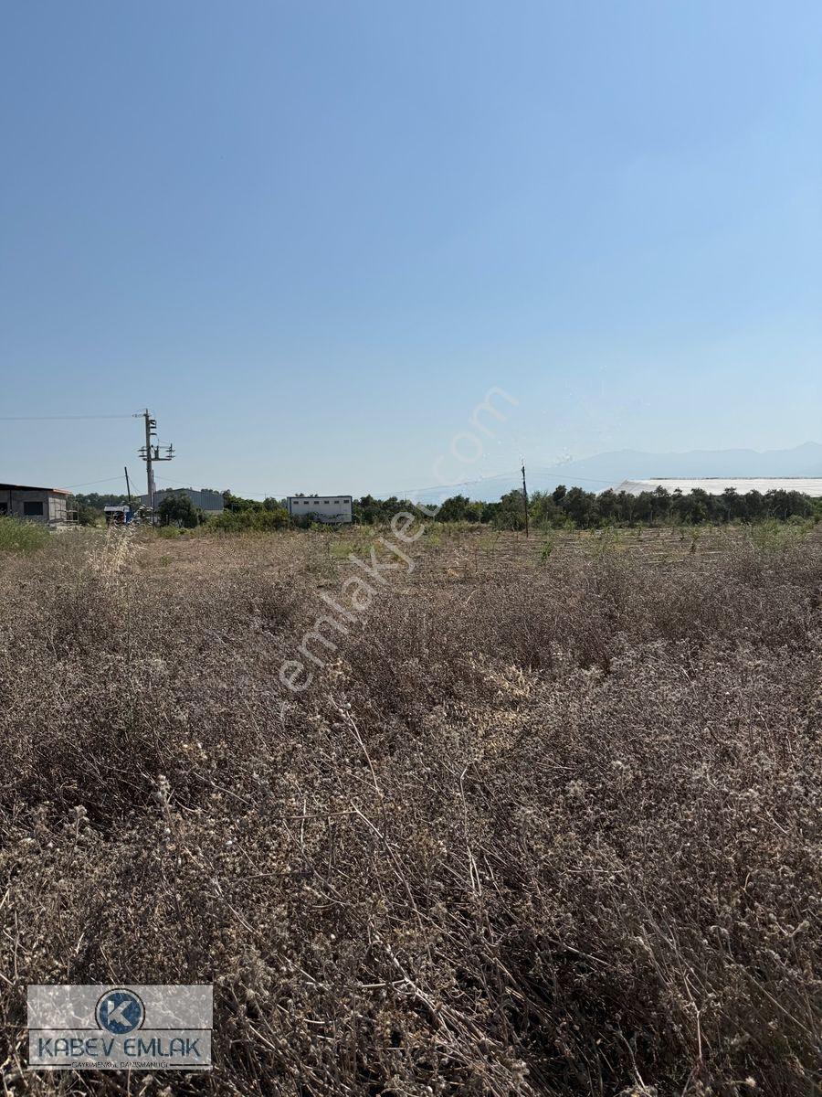 Arsuz Gökmeydan Mahallesinde Satılık Fırsat 6.3 Dönüm Bahçe — fotoğraf 4