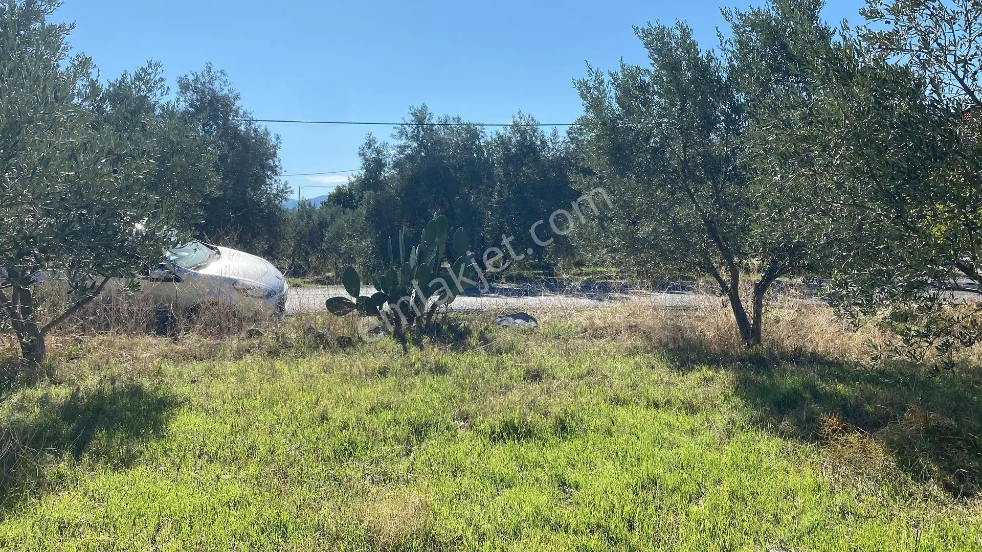 Dalaman Kayadibi Mahallesi Satılık 892 M² Zeytinlik — fotoğraf 4