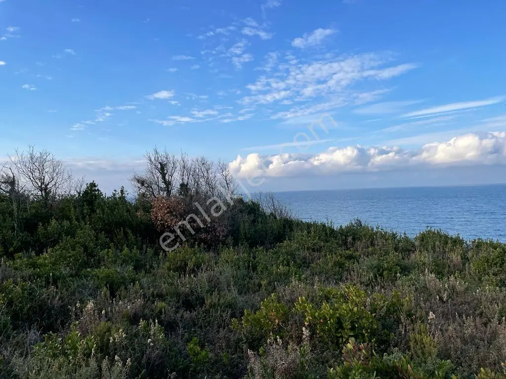 Beykoz Riva Denize Sıfır Konut + Turizm İmarlı Kupon Arsa — fotoğraf 5