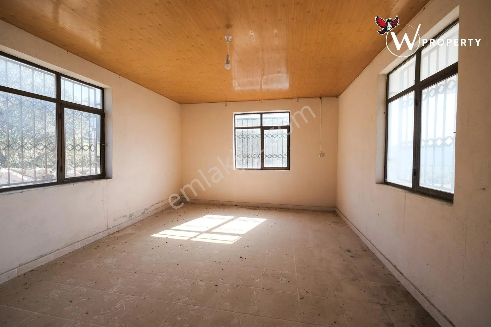 W Property Satılık 77 Dönüm Gemlik Zeytin Bahçesi 5.600 Ağaç — fotoğraf 4