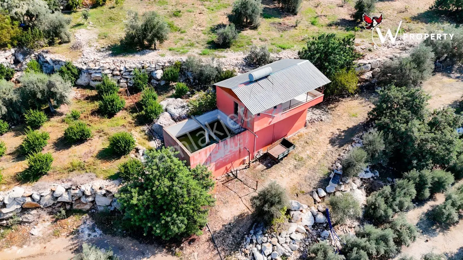 W Property Satılık 77 Dönüm Gemlik Zeytin Bahçesi 5.600 Ağaç — fotoğraf 11