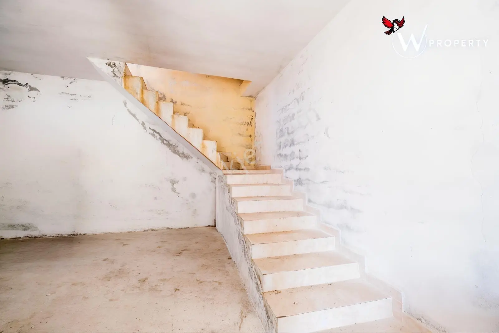W Property Satılık 77 Dönüm Gemlik Zeytin Bahçesi 5.600 Ağaç — fotoğraf 12