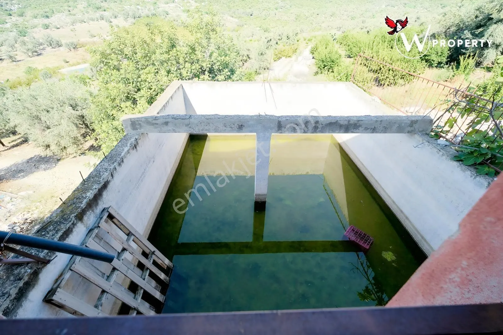 W Property Satılık 77 Dönüm Gemlik Zeytin Bahçesi 5.600 Ağaç — fotoğraf 13