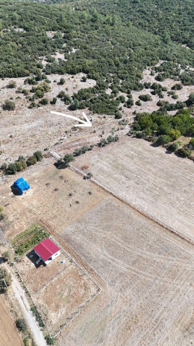 Yerkesik Yaylası'Nda 946 M² Tarla