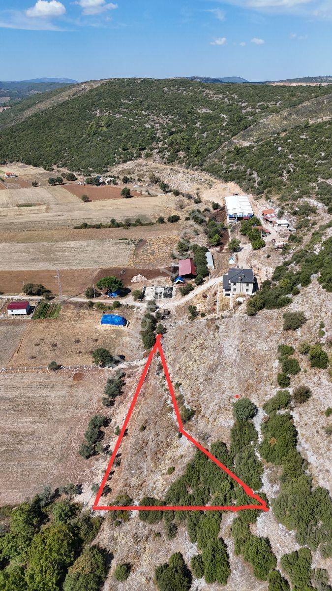 Yerkesik Yaylası'nda 946 M² Tarla — fotoğraf 2