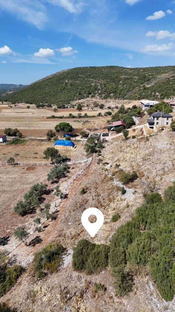 Yerkesik Yaylası'nda 946 M² Tarla — fotoğraf 4