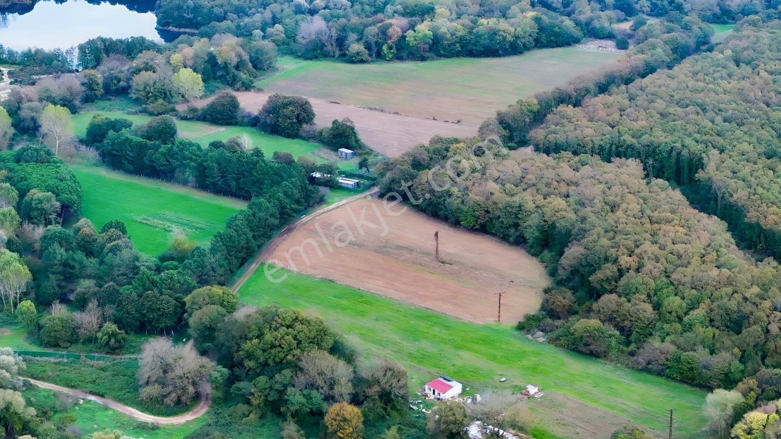 Çatalca Karacaköy'de Orman Kenarında 3.146 M² Müstakil Tarla — fotoğraf 2