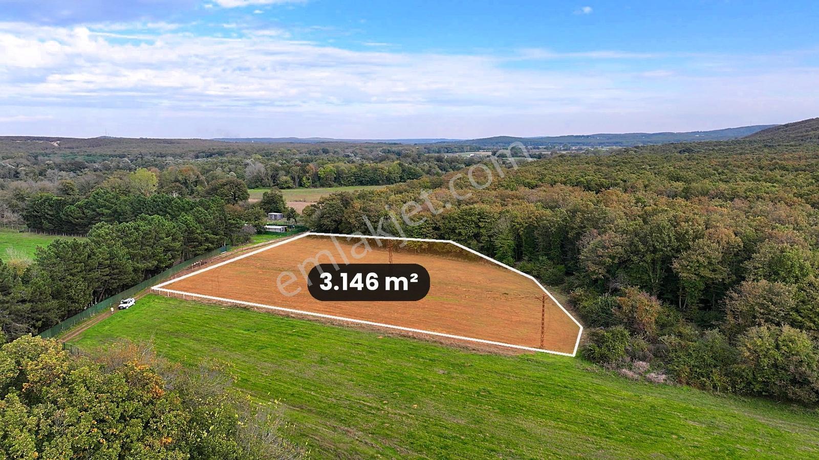 Çatalca Karacaköy'de Orman Kenarında 3.146 M² Müstakil Tarla — fotoğraf 3