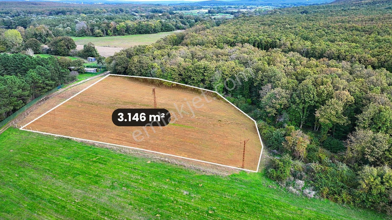 Çatalca Karacaköy'de Orman Kenarında 3.146 M² Müstakil Tarla — fotoğraf 4