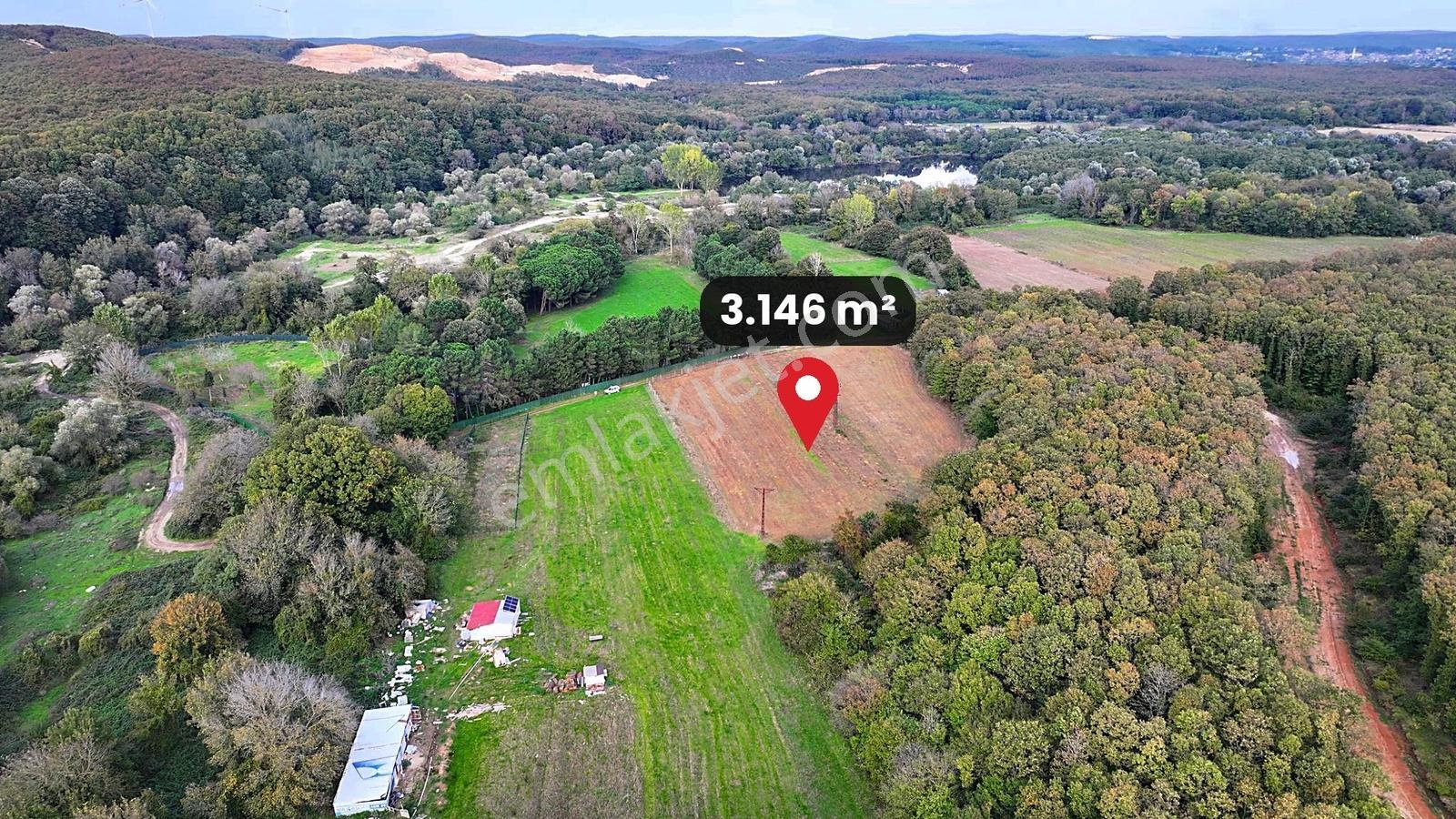 Çatalca Karacaköy'de Orman Kenarında 3.146 M² Müstakil Tarla — fotoğraf 6