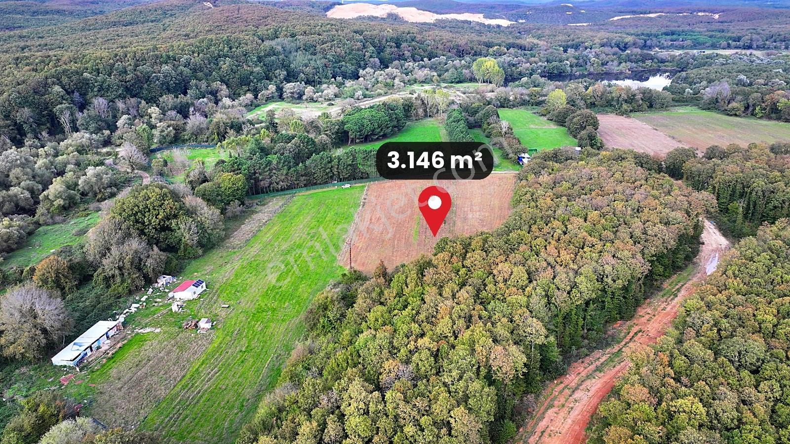 Çatalca Karacaköy'de Orman Kenarında 3.146 M² Müstakil Tarla — fotoğraf 7