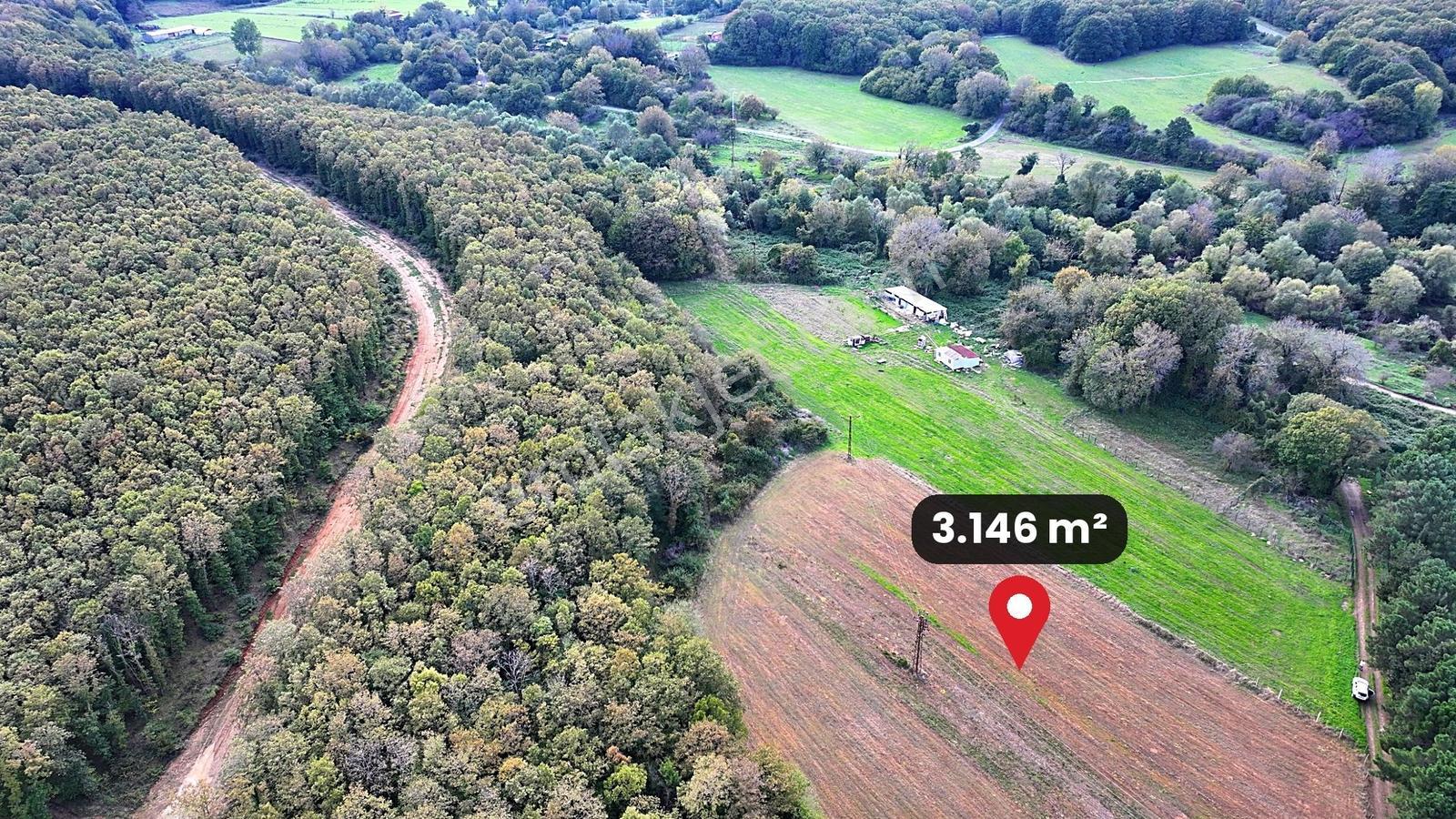 Çatalca Karacaköy'de Orman Kenarında 3.146 M² Müstakil Tarla — fotoğraf 8