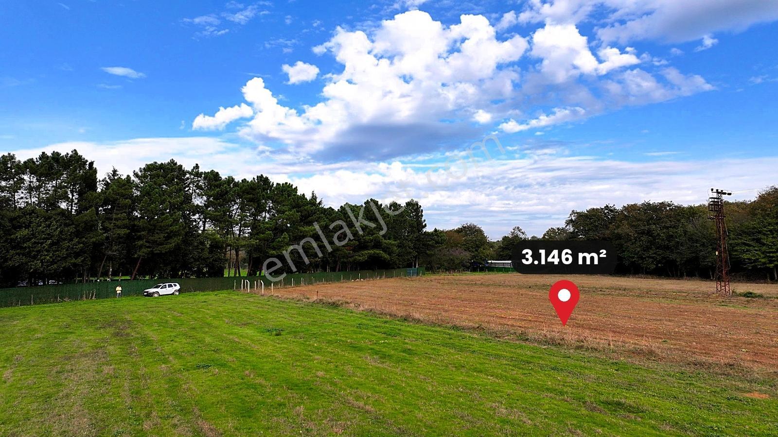 Çatalca Karacaköy'de Orman Kenarında 3.146 M² Müstakil Tarla — fotoğraf 10