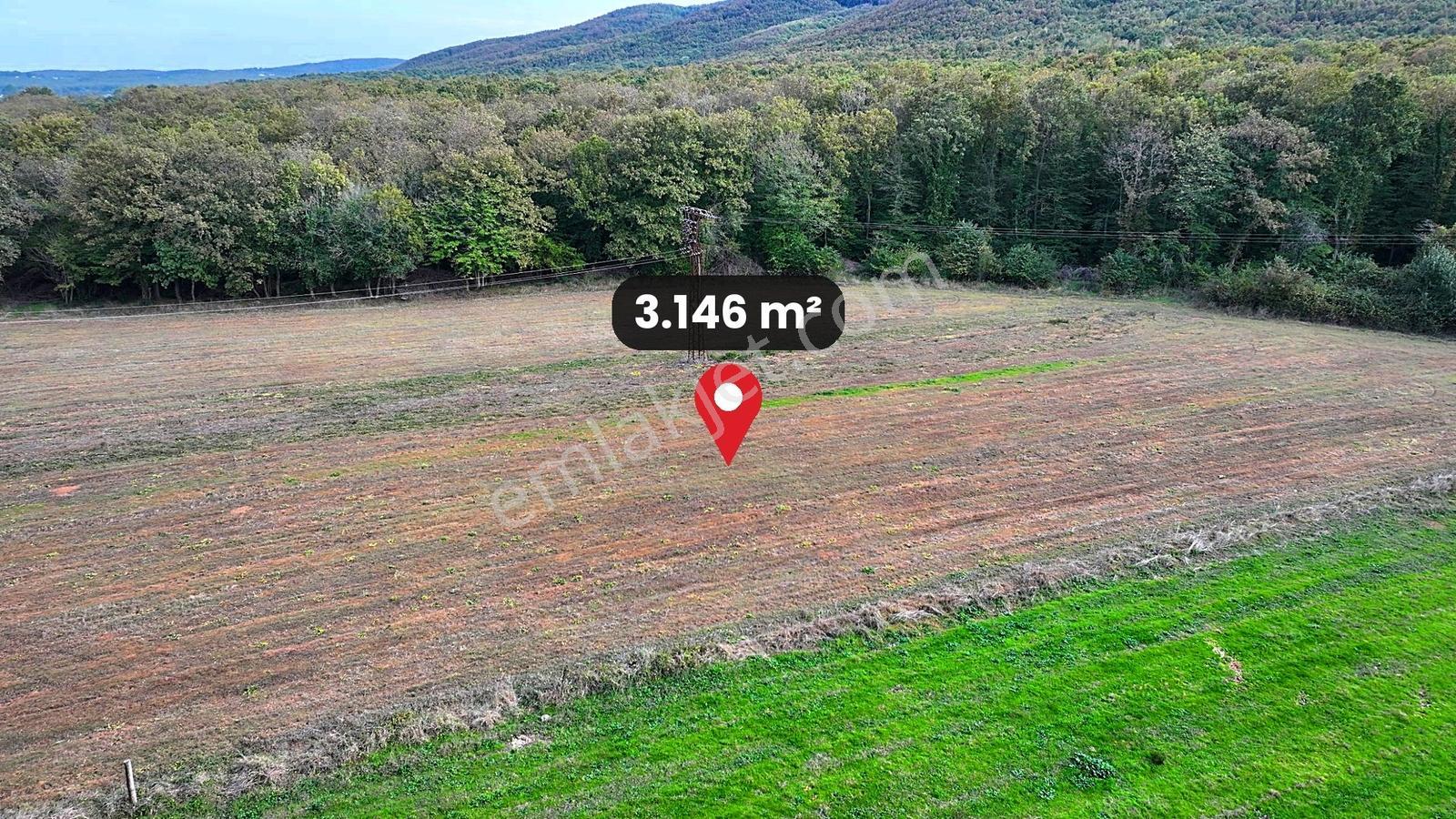 Çatalca Karacaköy'de Orman Kenarında 3.146 M² Müstakil Tarla — fotoğraf 11
