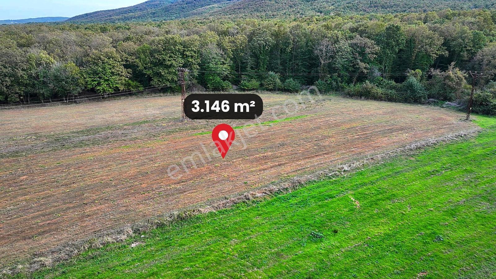 Çatalca Karacaköy'de Orman Kenarında 3.146 M² Müstakil Tarla — fotoğraf 12