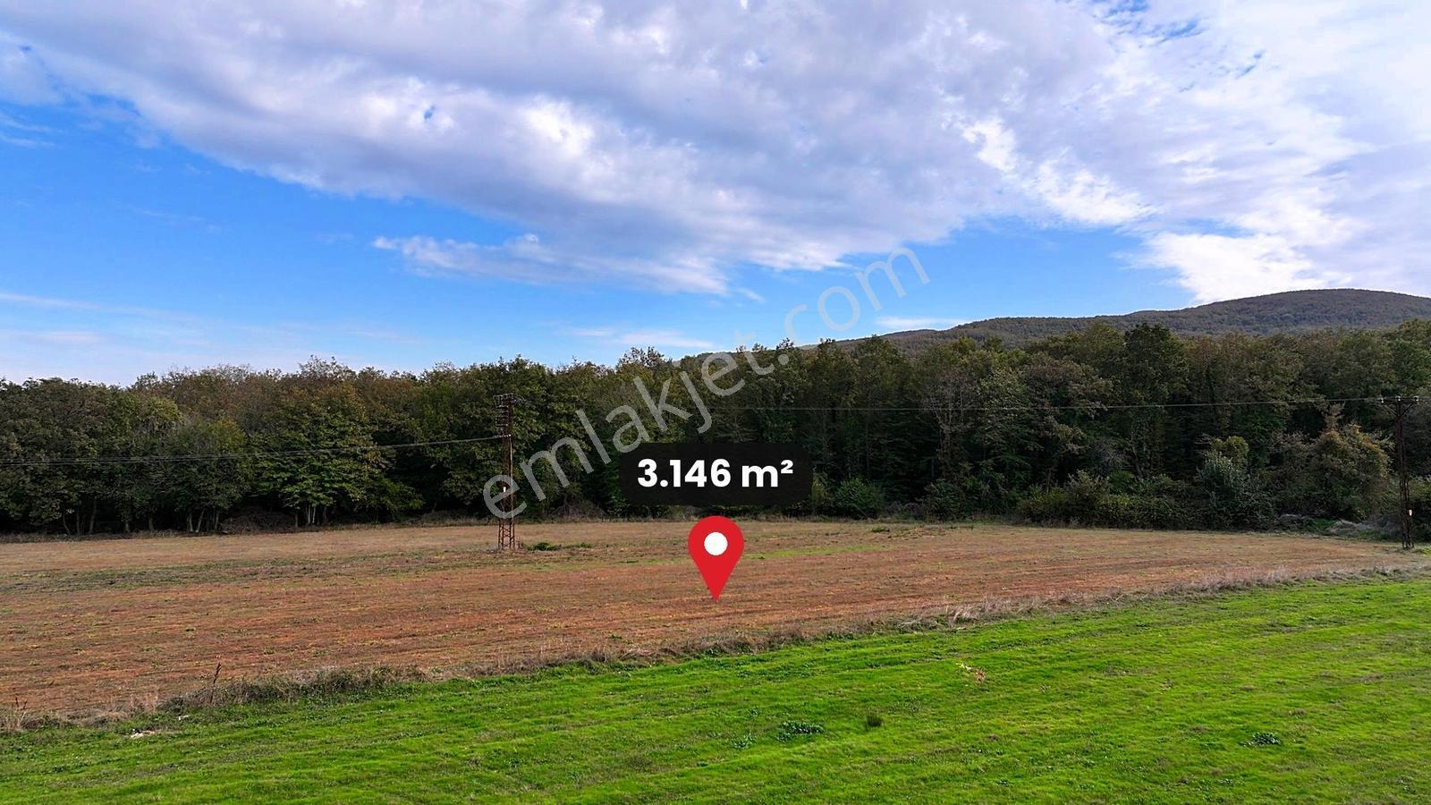 Çatalca Karacaköy'de Orman Kenarında 3.146 M² Müstakil Tarla — fotoğraf 13