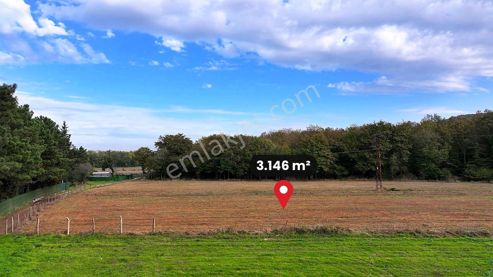 Çatalca Karacaköy'de Orman Kenarında 3.146 M² Müstakil Tarla — fotoğraf 14