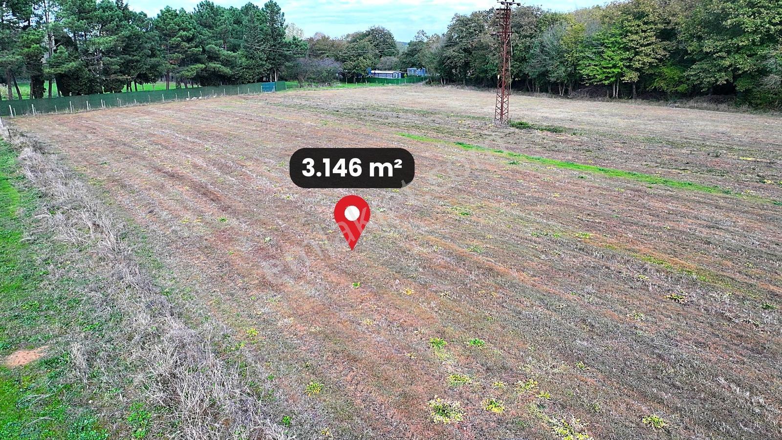 Çatalca Karacaköy'de Orman Kenarında 3.146 M² Müstakil Tarla — fotoğraf 15