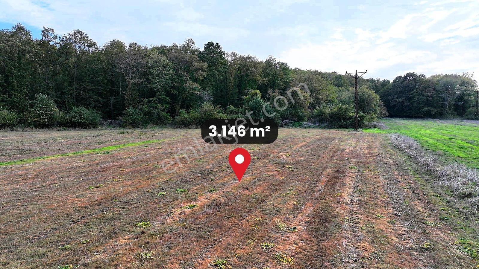 Çatalca Karacaköy'de Orman Kenarında 3.146 M² Müstakil Tarla — fotoğraf 16