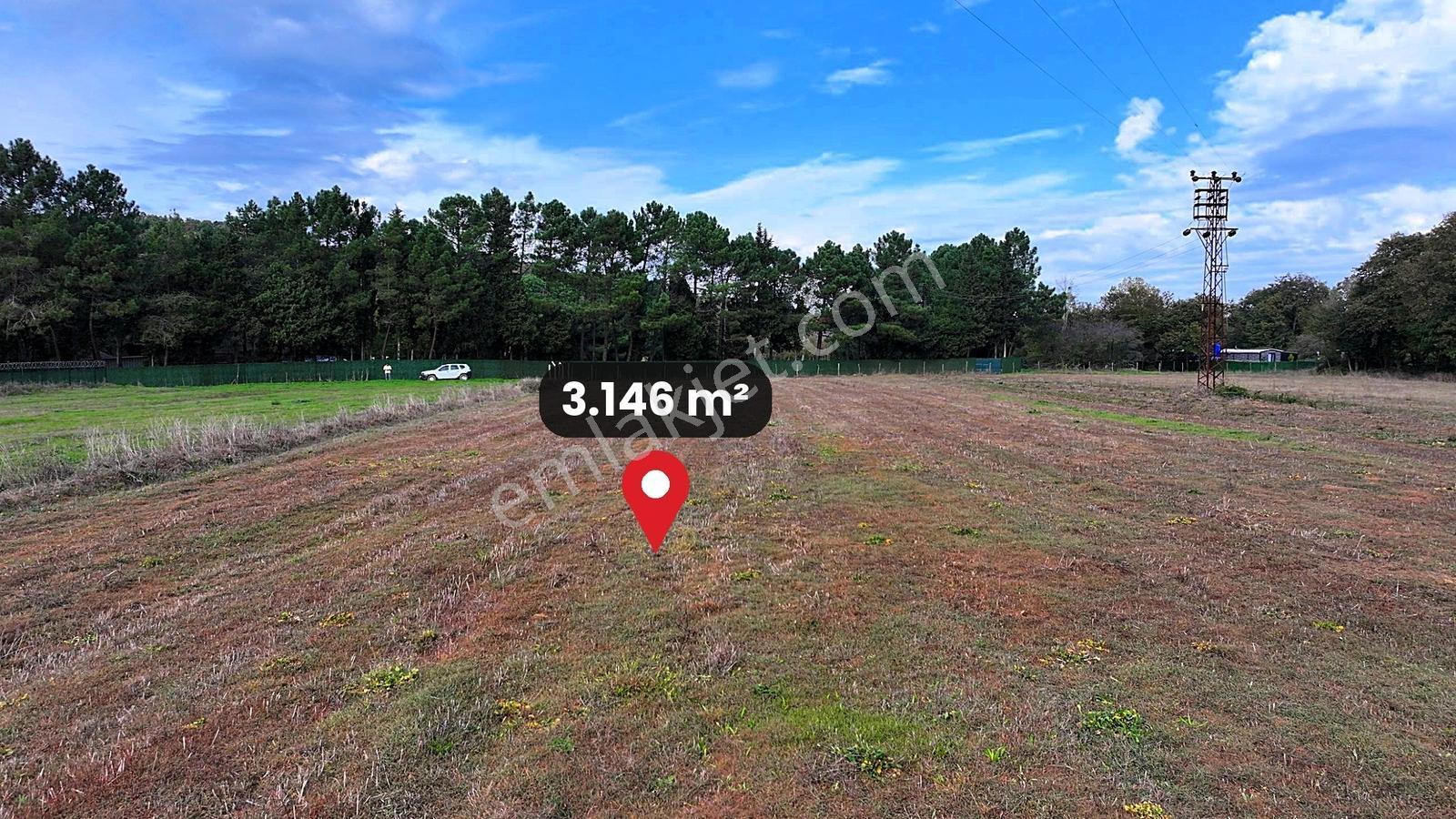 Çatalca Karacaköy'de Orman Kenarında 3.146 M² Müstakil Tarla — fotoğraf 17
