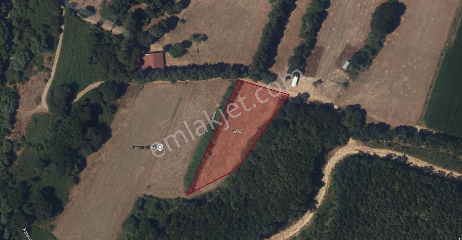 Çatalca Karacaköy'de Orman Kenarında 3.146 M² Müstakil Tarla — fotoğraf 18