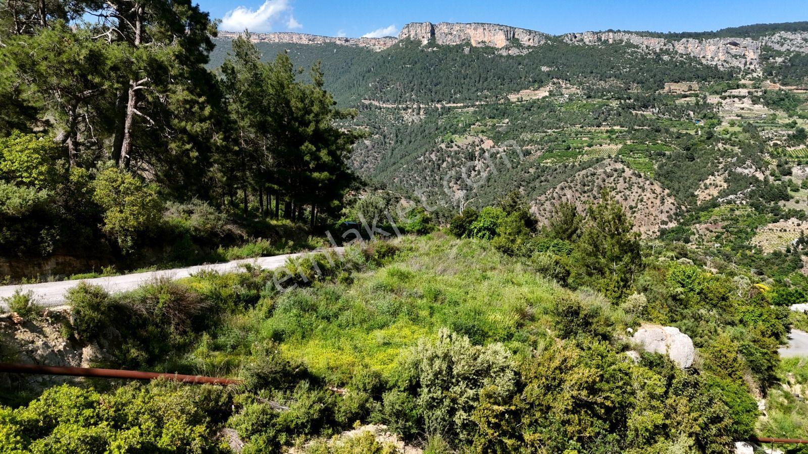 Arslanlı Da 626 M2 Arsa