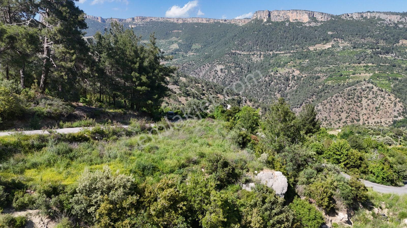 Arslanlı Da 626 M2 Arsa — fotoğraf 2