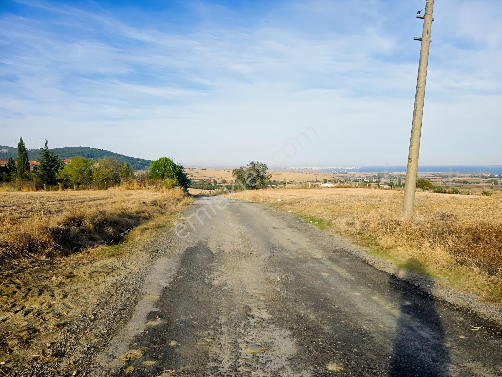 Saros Körfezi'nde Satılık Fırsat Arsa(600 M2) — fotoğraf 7