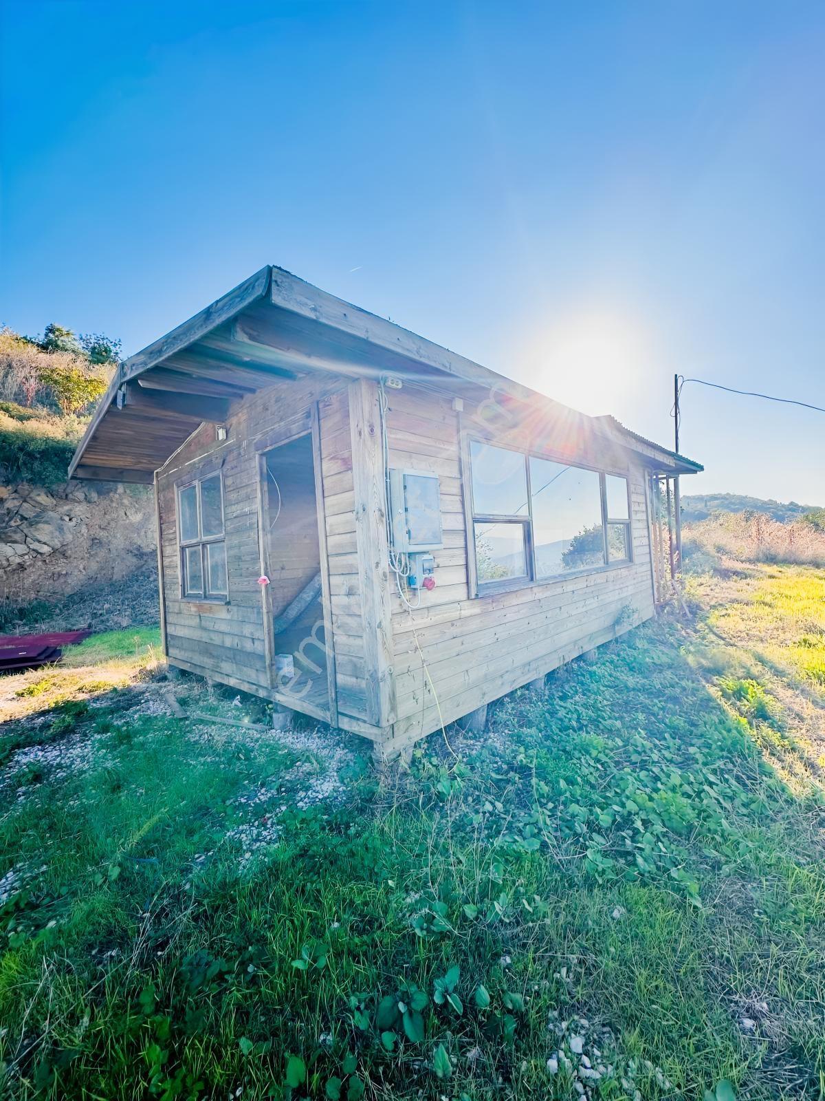 Orhangazi Gemiçte İçinde 30 M2 Ahşap Bağ Evi Olan Tarla — fotoğraf 2