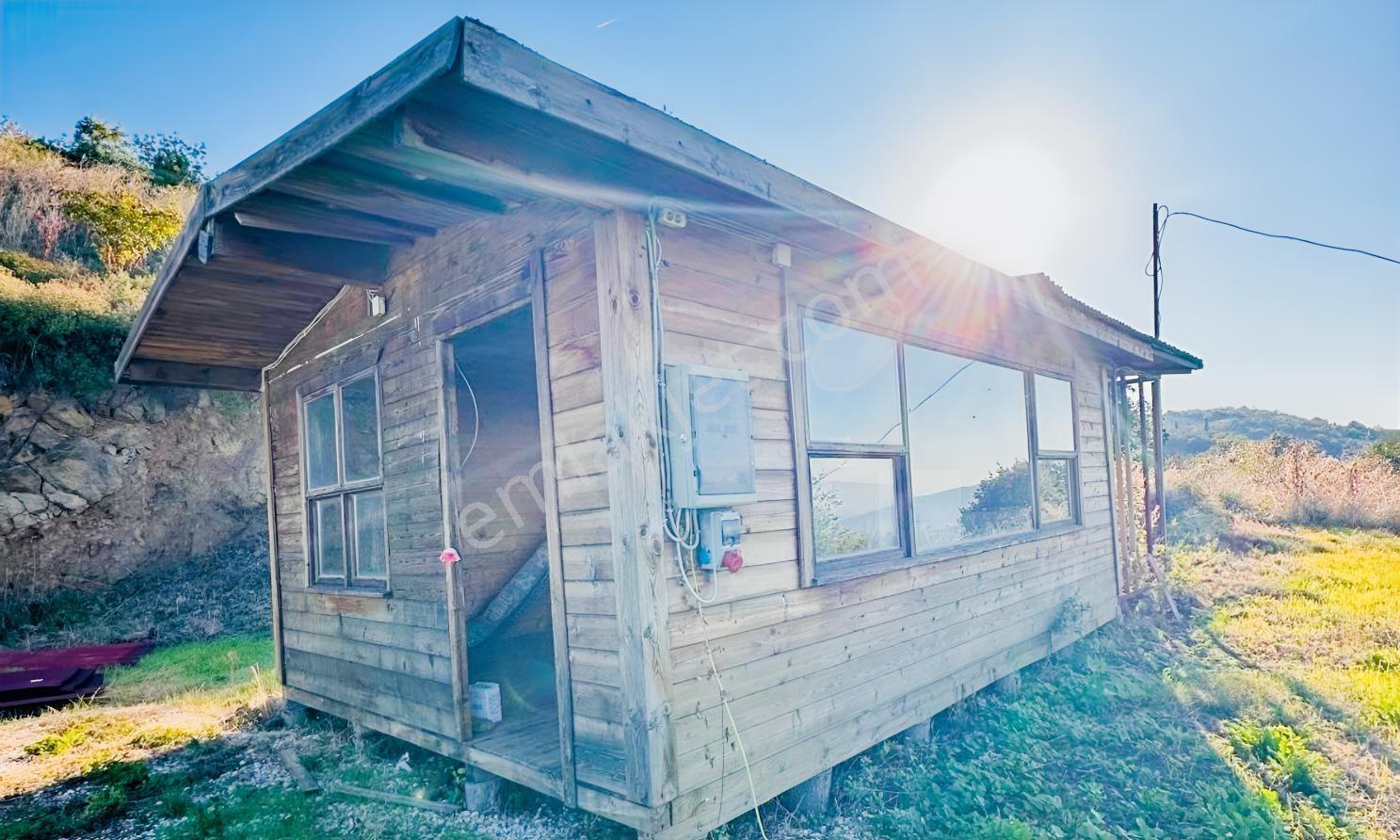 Orhangazi Gemiçte İçinde 30 M2 Ahşap Bağ Evi Olan Tarla — fotoğraf 3