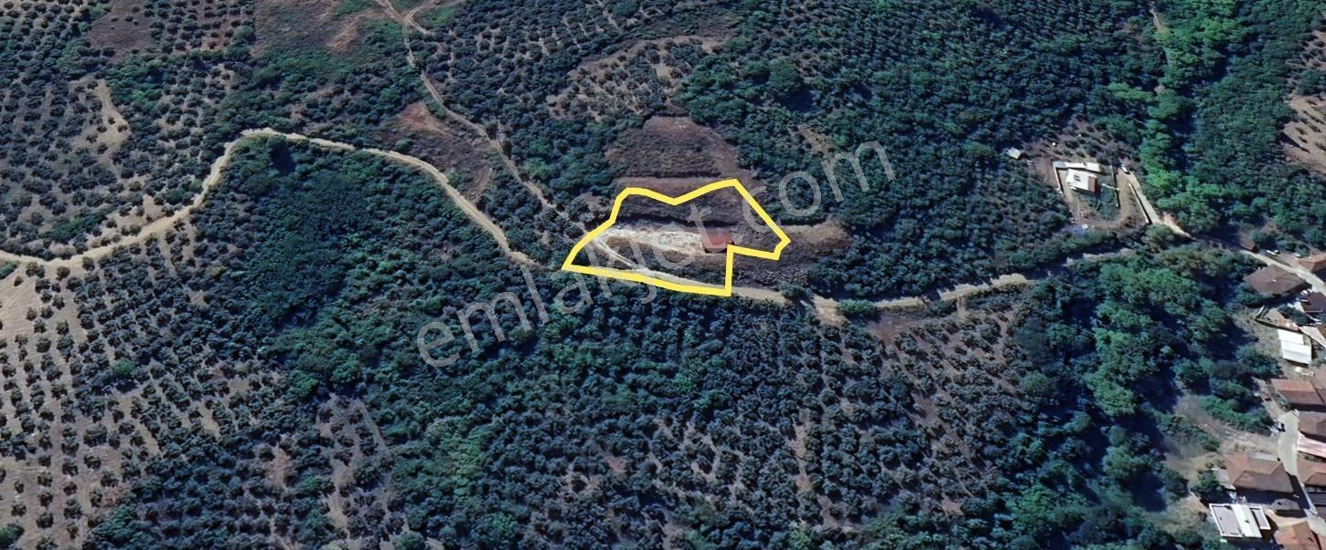 Orhangazi Gemiçte İçinde 30 M2 Ahşap Bağ Evi Olan Tarla — fotoğraf 9