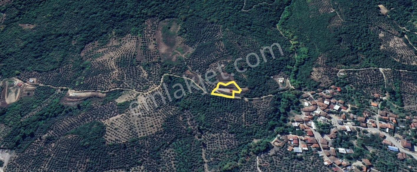 Orhangazi Gemiçte İçinde 30 M2 Ahşap Bağ Evi Olan Tarla — fotoğraf 10