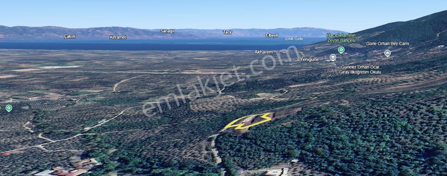 Orhangazi Gemiçte İçinde 30 M2 Ahşap Bağ Evi Olan Tarla — fotoğraf 11
